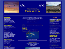 Tablet Screenshot of friskareliv.com